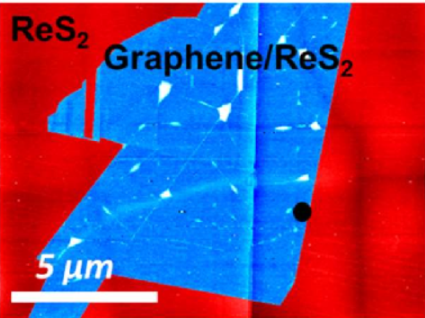 Moiré patterns in graphene -- rhenium disulfide vertical heterostructures