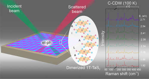 Selective Electron–Phonon Coupling in Dimerized 1T-TaS2 Revealed by Resonance Raman Spectroscopy